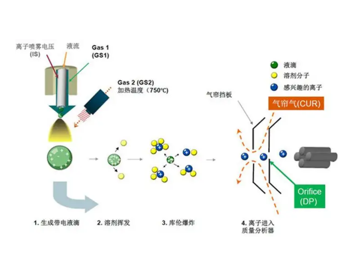 水中溶解物質